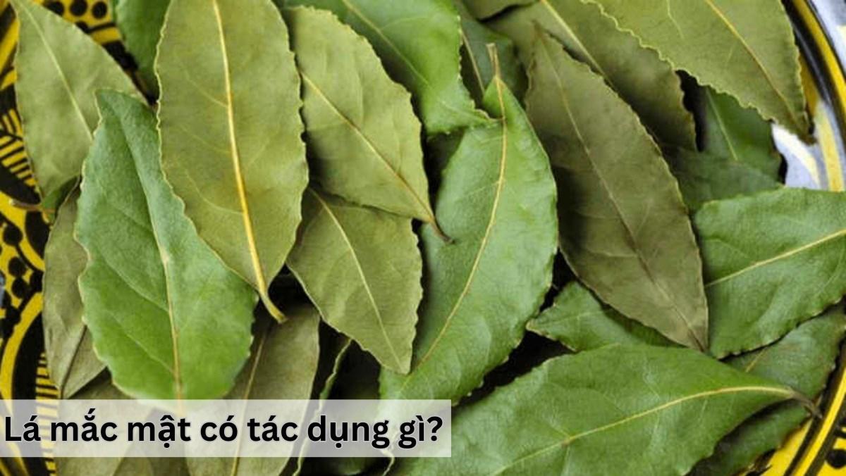 Lá‌ mắc mật - nguyên liệu quý cho các ‍món ăn truyền thống