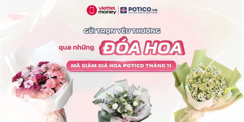 Cập Nhật Các Mã Giảm Giá Hot Nhất Tháng 11