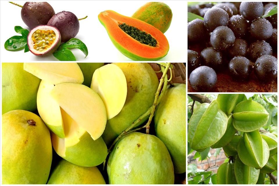 Vị Ngọt Ngào Từ Trái Cây Nhiệt Đới Ninh Thuận