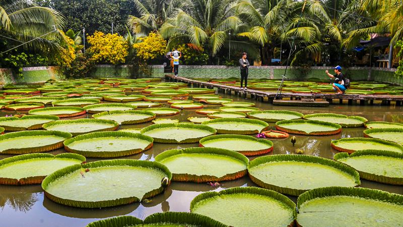 Du lịch Đồng Tháp – Trải nghiệm chợ nổi độc đáo tại nhà hàng Nét Quê