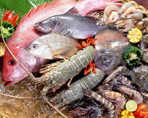 Thưởng Thức Hải Sản Tươi Sống: Điểm Nhấn Của Nha Trang