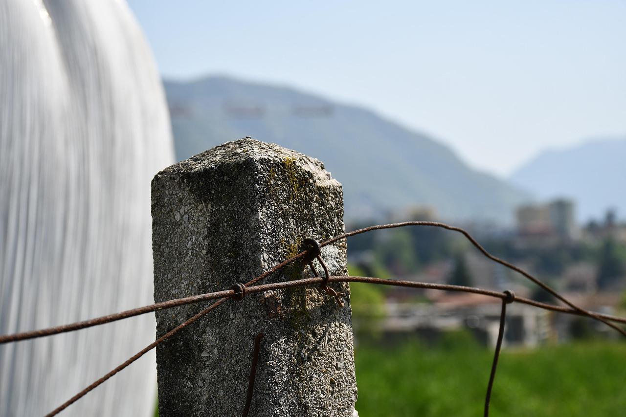 Chia Sẻ Những Kinh Nghiệm Không Thể Bỏ Qua Khi Du Lịch Ẩm Thực